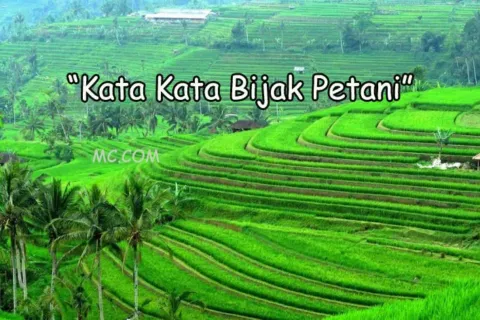 Kata Kata Bijak Petani
