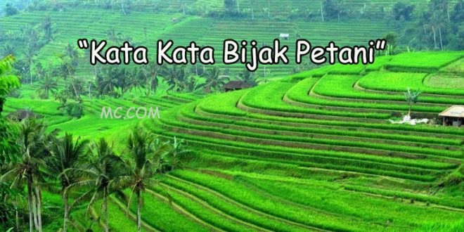 Kata Kata Bijak Petani