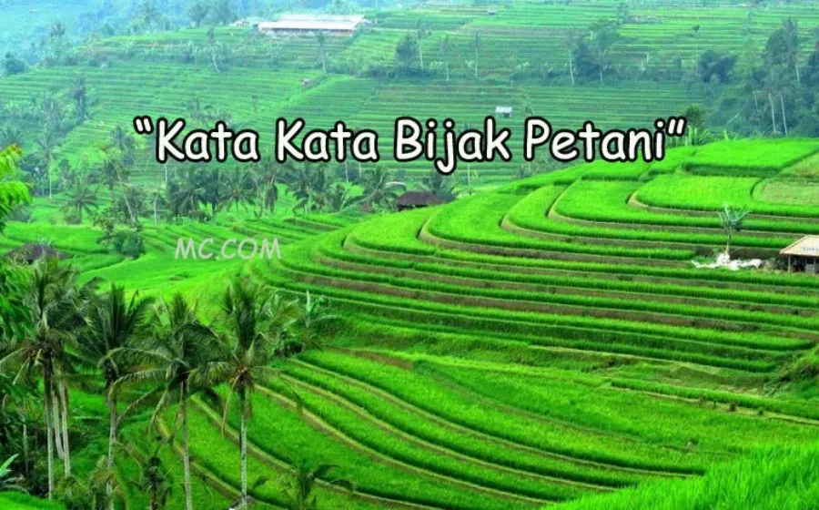 Kata Kata Bijak Petani