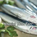 Khasiat Ikan Teri Bagi Tubuh