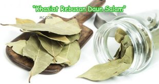Khasiat Rebusan Daun Salam Bagi Kesehatan