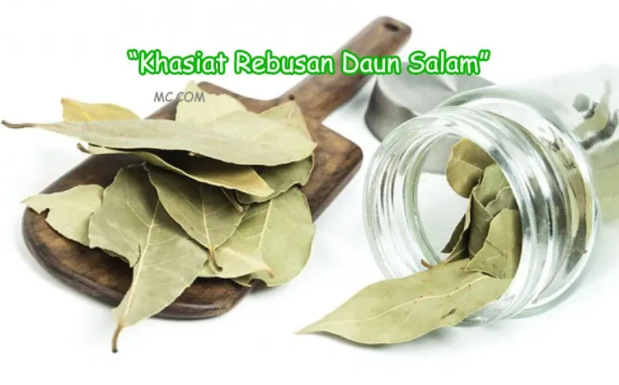 Khasiat Rebusan Daun Salam Bagi Kesehatan