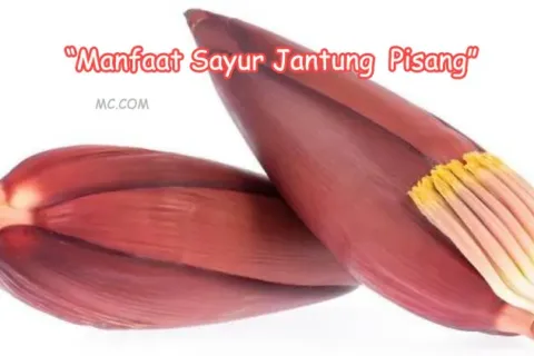 Khasiat Sayur Jantung PisangBagi Ibu Hamil