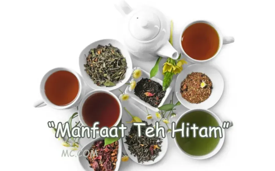Khasiat Teh Hitam Untuk Kesehatan