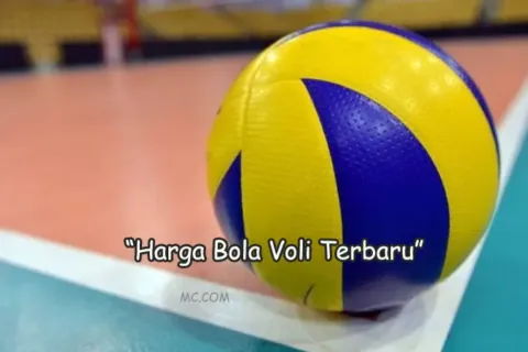 Macam Harga Bola Voly Saat Ini