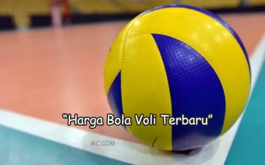 Macam Harga Bola Voly Saat Ini