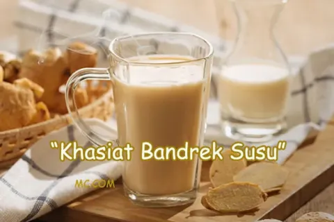 Manfaat Bandrek Susu Dan Cara Membuatnya
