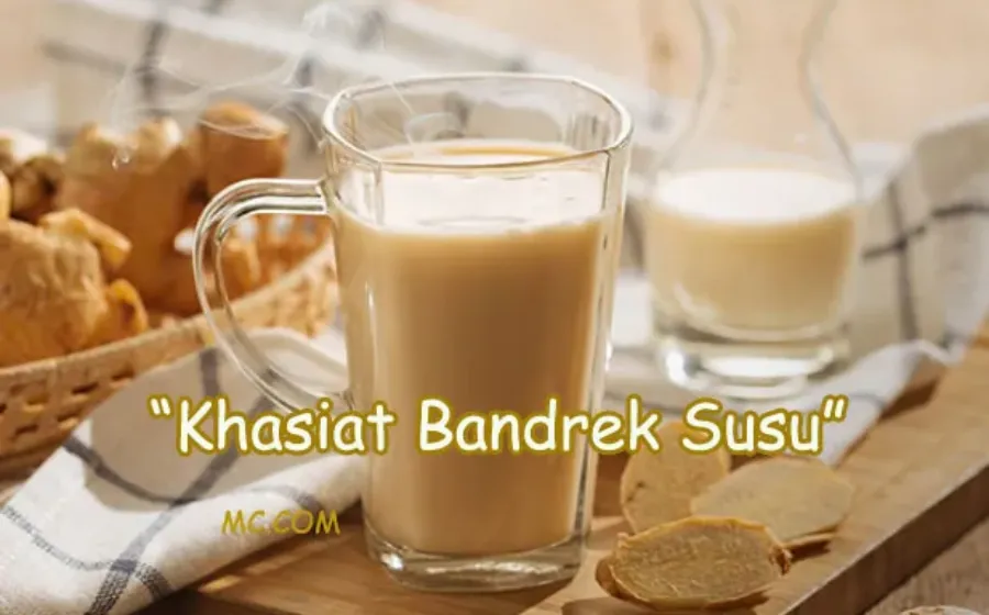 Manfaat Bandrek Susu Dan Cara Membuatnya
