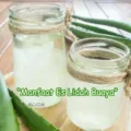 Manfaat Es Lidah Buaya