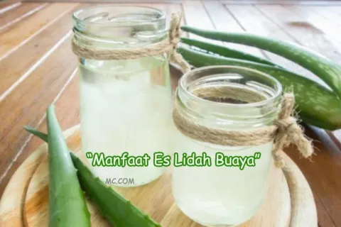 Manfaat Es Lidah Buaya