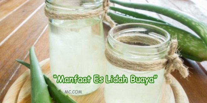Manfaat Es Lidah Buaya