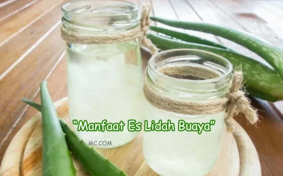 Manfaat Es Lidah Buaya