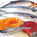 Manfaat Ikan Salmon