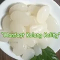 Manfaat Kolang Kaling Bagi Tubuh