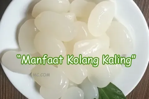 Manfaat Kolang Kaling Bagi Tubuh