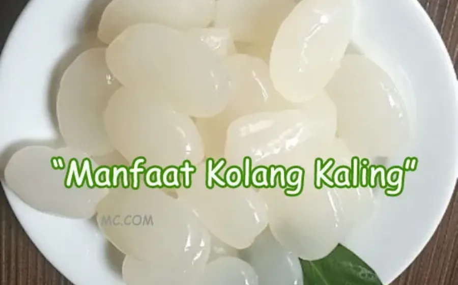 Manfaat Kolang Kaling Bagi Tubuh