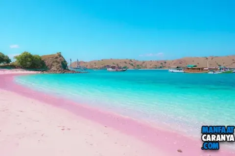 Pantai 3 Warna Malang HTM Alamat dan Rute Menuju Lokasi