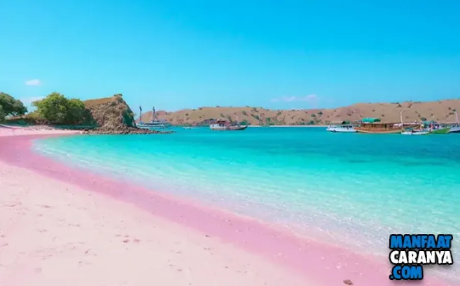 Pantai 3 Warna Malang HTM Alamat dan Rute Menuju Lokasi