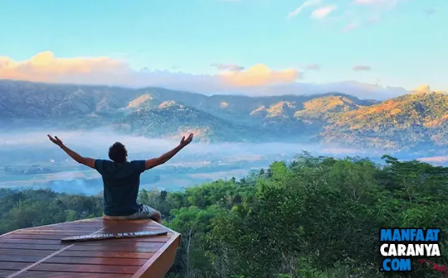 Tempat Wisata Bukit Punthuk Setumbu HTM Jadwal Alamat Rute dan Fasilitas