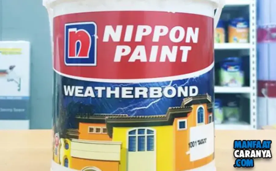 Daftar Harga Cat Tembok Nippon Paint untuk Interior dan Eksterior Terbaru