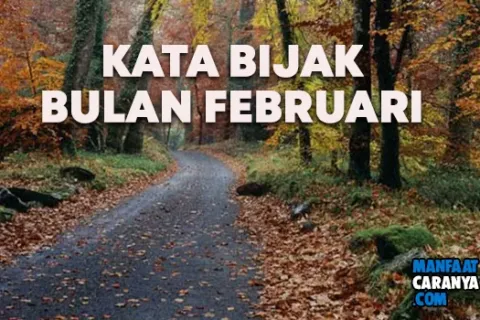 Kumpulan Kata Bijak Awal Bulan Februari Kalimat Mutiara Penuh Makna Terkini