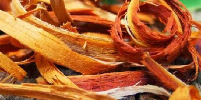manfaat dan khasiat air secang untuk kulit bayi