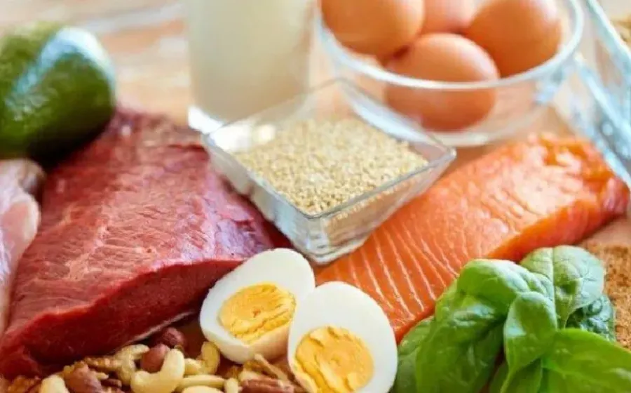 9 Manfaat Protein Bagi Tubuh, Penting