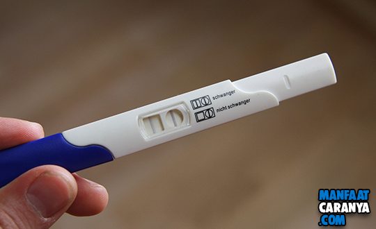 Harga Test Pack Alat Uji Kehamilan Terkini