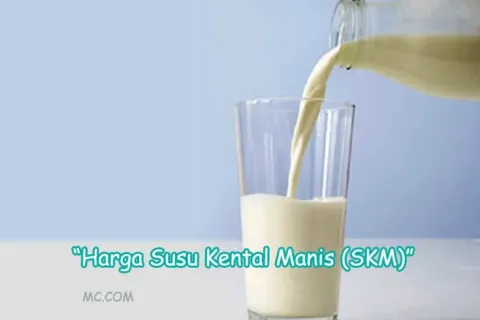 Harga SKM Berbagai Merk Saat Ini