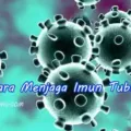 Cara Menjaga Imun Tubuh