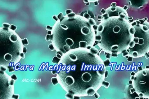 Cara Menjaga Imun Tubuh