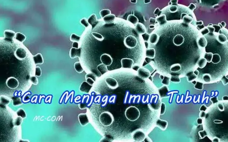 Cara Menjaga Imun Tubuh