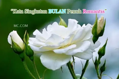 Kata Kata Singkatan Tentang Bulan Yang Romantis