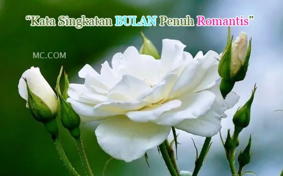Kata Kata Singkatan Tentang Bulan Yang Romantis