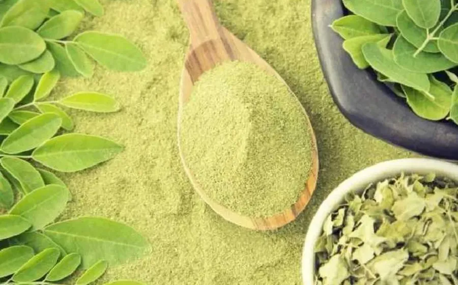 Manfaat Masker Daun Kelor Picture
