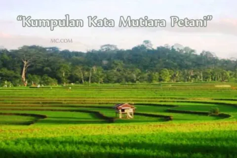 Kata Mutiara Tentang Petani