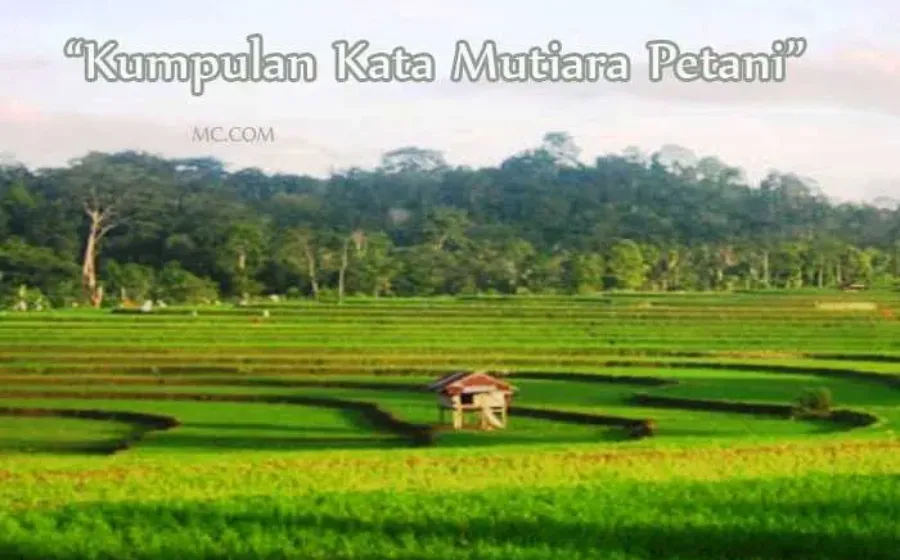 Kata Mutiara Tentang Petani