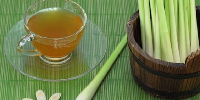 Cara Mudah Membakar Lemak Dengan Serai