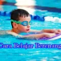 Cara Belajar Berenang Bagi Pemula