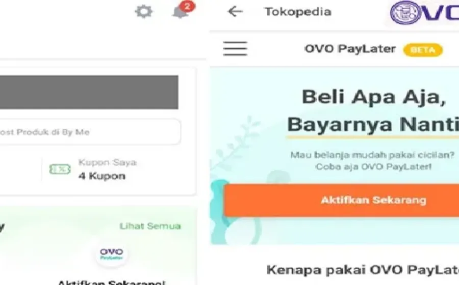 Cara Aktifkan OVO Paylater Terbaru