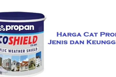 Harga Cat Propan Terbaru