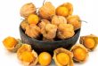 15 Manfaat Buah Ciplukan