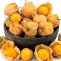 15 Manfaat Buah Ciplukan