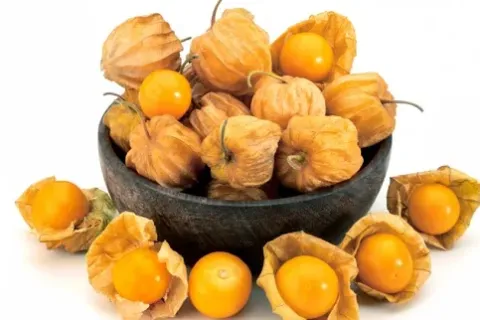 15 Manfaat Buah Ciplukan