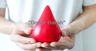 Manfaat Donor Darah