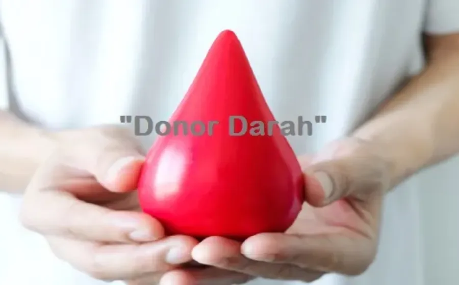Manfaat Donor Darah