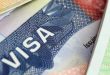 Rekomendasi Fabio Visa Agency untuk Anda yang Tidak Ingin Ribet Mengurus Visa Indonesia