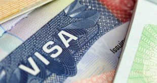 Rekomendasi Fabio Visa Agency untuk Anda yang Tidak Ingin Ribet Mengurus Visa Indonesia