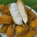 Manfaat Buah Salju Khas Bali Untuk Kesehatan