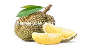 Manfaat Buah Durian Bagi Kesehatan